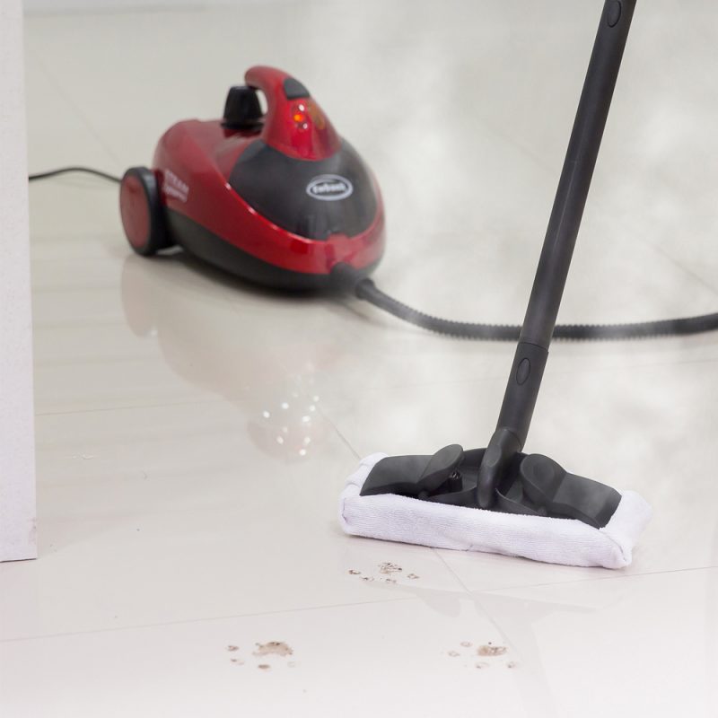 Steam Dynamo Multi Tool Steam Cleaner - Steam Cleaners | Ewbank