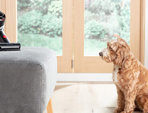 Keep Your Home Spotless with Ewbank’s Pet Floorcare Solutions